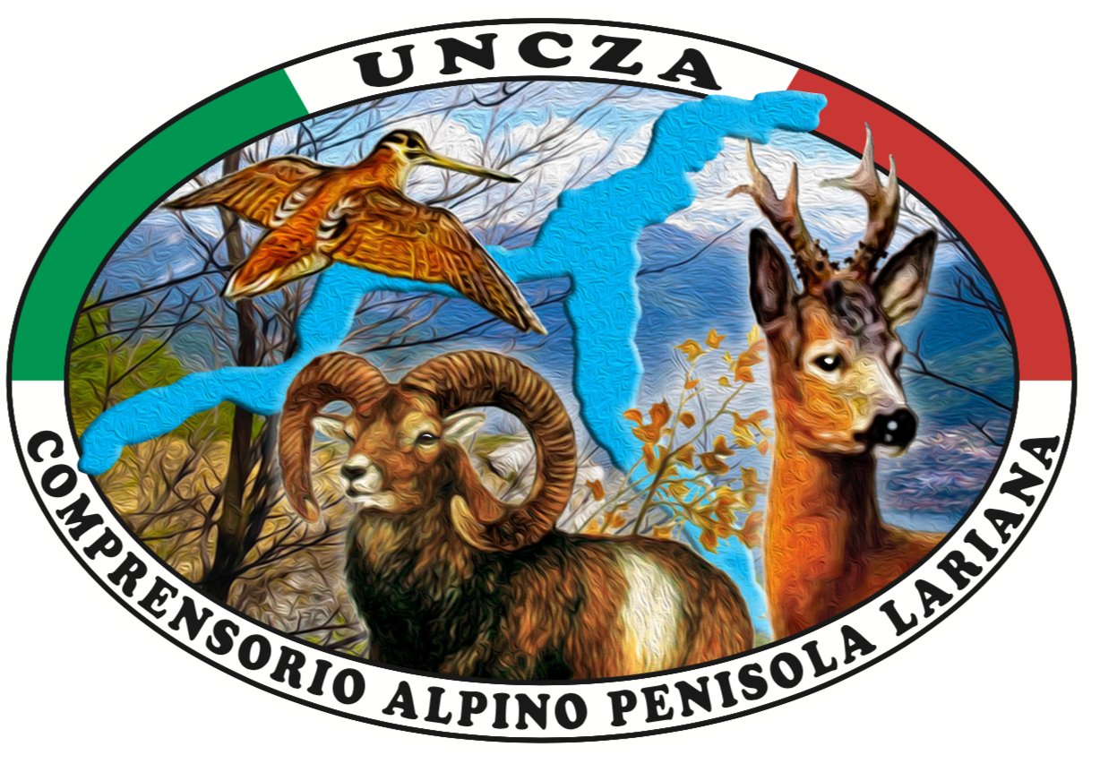 UNCZA Penisola Lariana