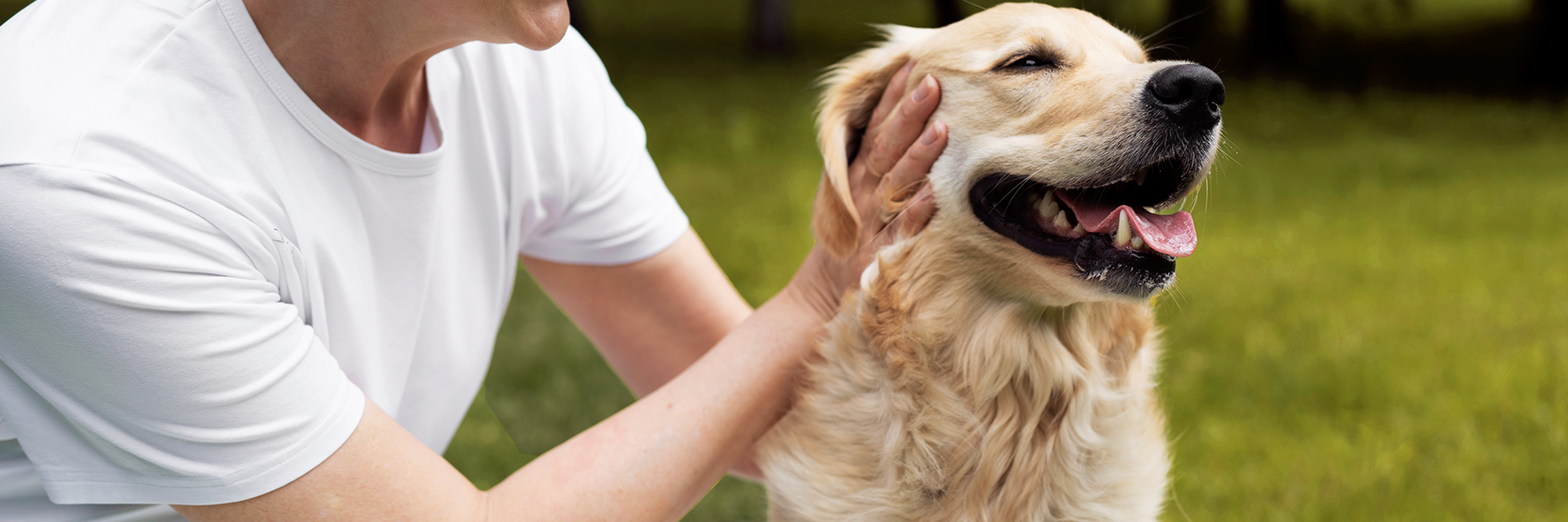 pet%20therapy.png