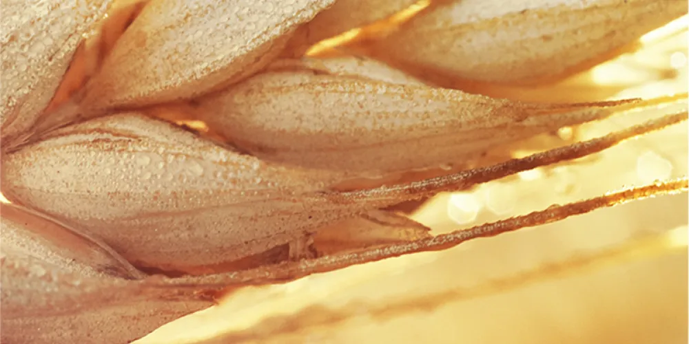 5-1.jpg