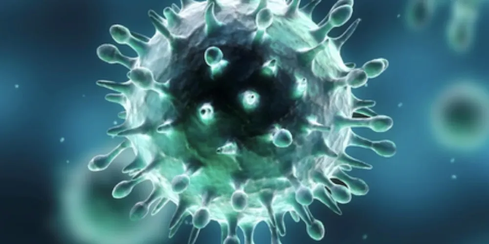 FBF_cover_blog_coronavirus.jpeg