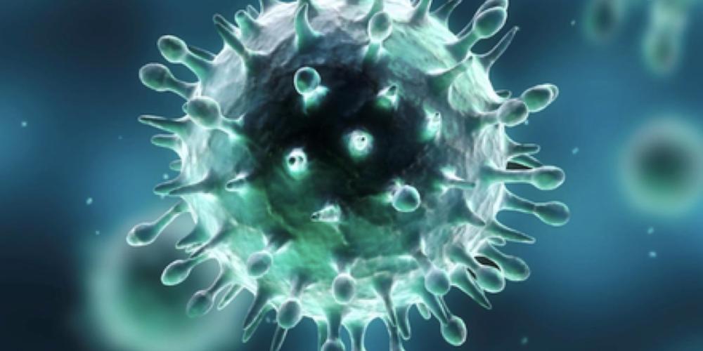 FBF_cover_blog_coronavirus.jpeg