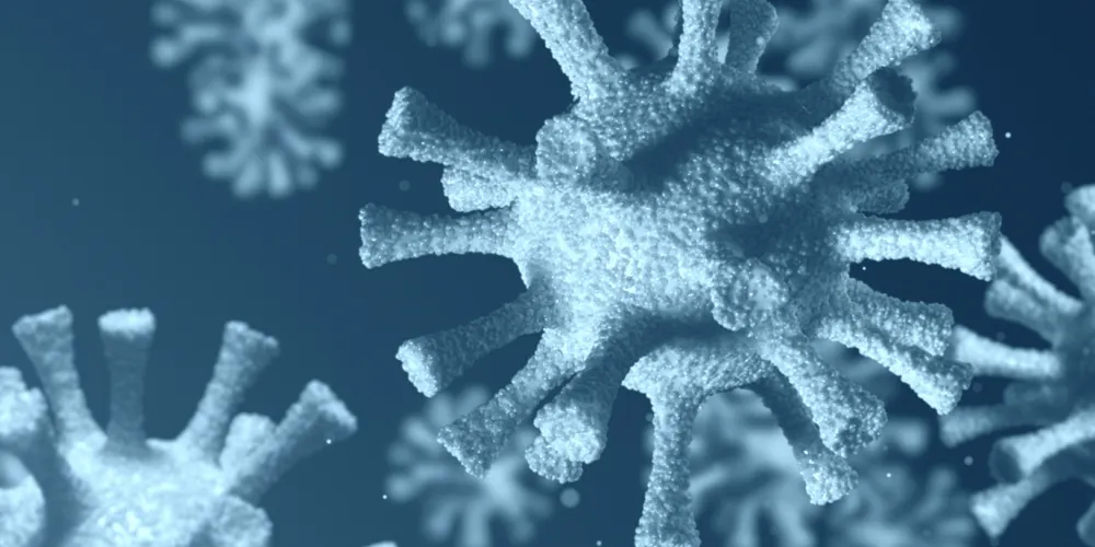 FBF_cover_blog_coronavirus2.001.jpeg