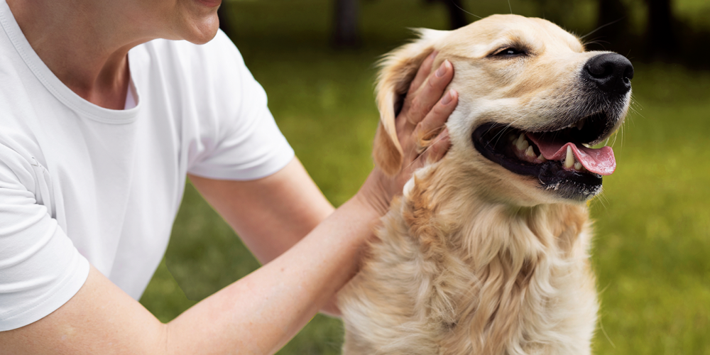 pet%20therapy.png